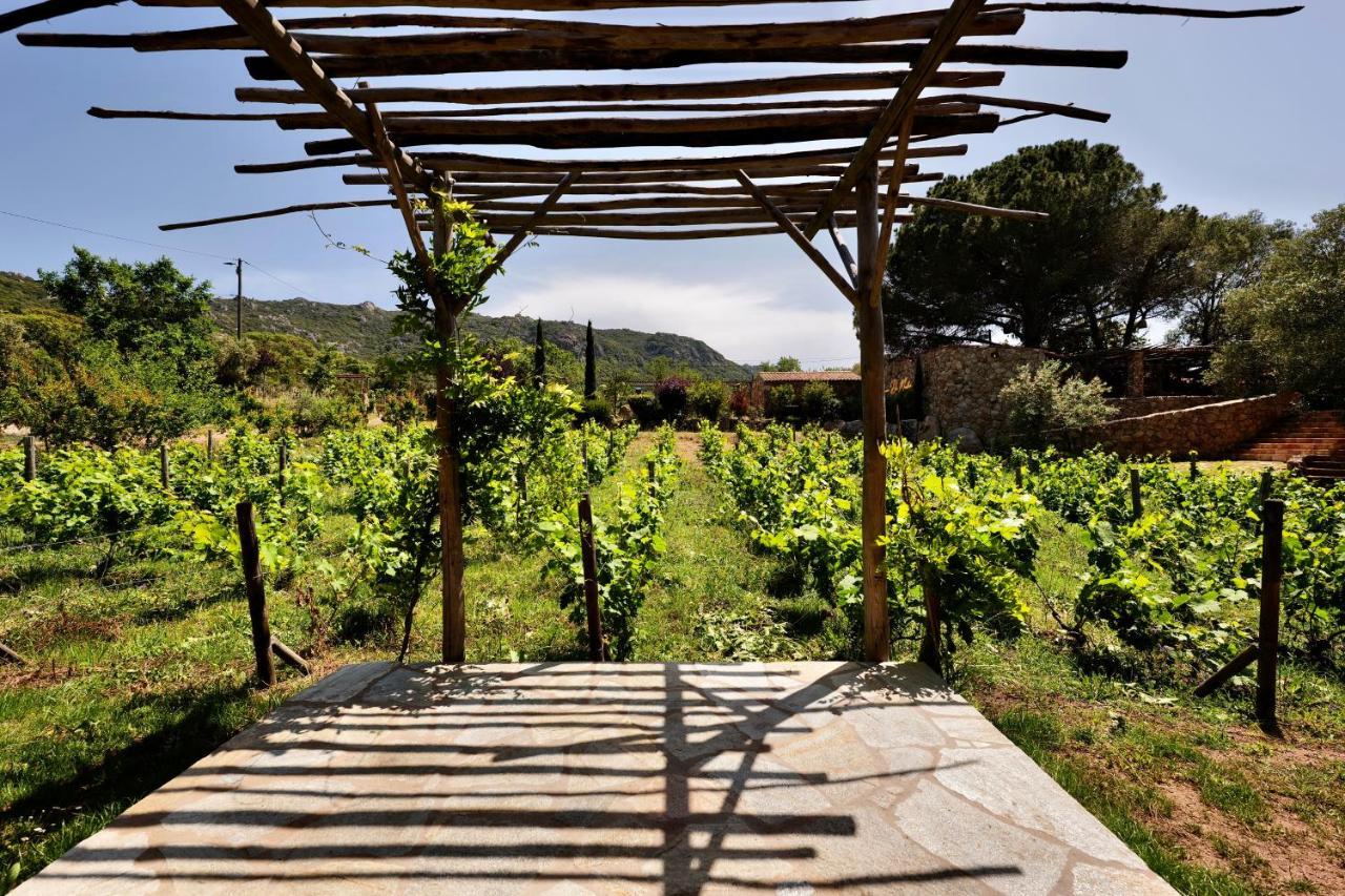פיגארי Domaine Pozzo Di Mastri Hotel & Spa מראה חיצוני תמונה